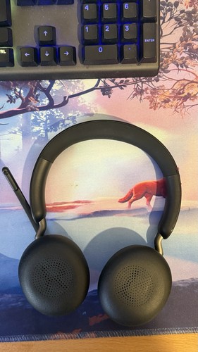 Jabra evolve2 stereo - 65,